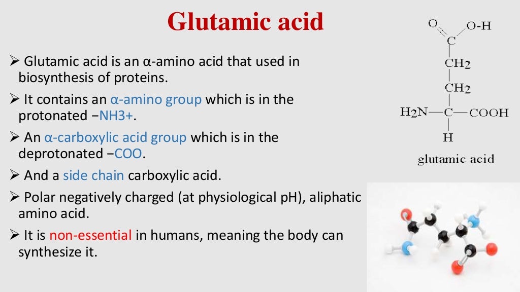 Industrial production of chemical acids glutamic acid