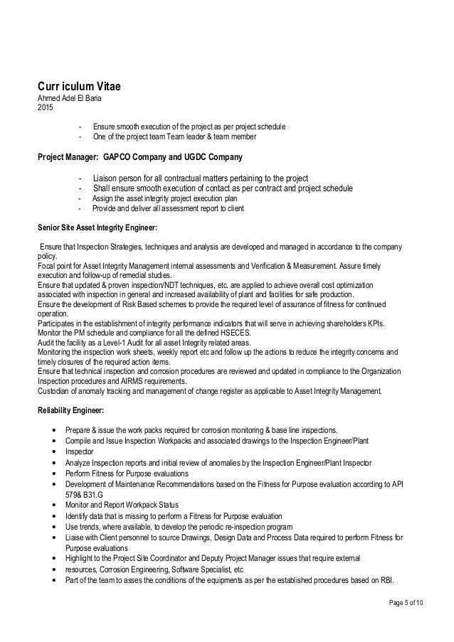 Curriculum vitae example image