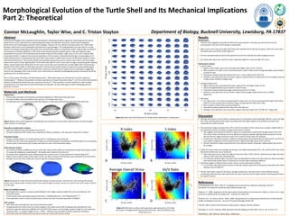 Morphological Evolution of the Turtle Shell and Its Mechanical Implications
Part 2: Theoretical
Connor McLaughlin, Taylor Wise, and C. Tristan Stayton Department of Biology, Bucknell University, Lewisburg, PA 17837
Abstract
Evolutionary biologists have considered understanding the relationship between organismal morphology and functional
performance to be fundamental for understanding phenotypic diversification. Numerous studies have investigated
performance and morphological evolution within lineages. However, far less attention has been paid to the relationship
between performance and morphological diversification among lineages. This study develops the turtle shell as a model
system for studying morphological and performance diversification within a comparative context. Original data consisted of
3D landmark coordinates digitized on 1962 turtle shells representing 254 separate species. Data were aligned using a
Generalized Procrustes fit and ordinated with principal component (PC) analysis. High scores on PC1 and 2 indicate taller,
more domed shells. To explore the functional implications of this variation, theoretical shell shapes corresponding to 117
evenly-spaced points in morphospace were extracted. Finite element models were built for all theoretical shapes to assess
mechanical performance. Heat transfer ability was quantified using surface area to volume ratios (SA/V), and three shape
indices were used to assess righting ability. Turtle shells with high PC1 and 2 scores were stronger, possessed greater righting
ability, and had lower SA/V. Shells with low PC1 and 2 scores were more streamlined, and had higher SA/V. Terrestrial and
aquatic turtles did not differ in shell shape (see part I), but terrestrial turtles showed a tendency to evolve towards higher
PC1 and 2 scores. Similar values for all performance measures could be found in large areas of morphospace, suggesting
many-to-one mapping of form onto function; thus, turtle shells can diversify morphologically without necessarily sacrificing
performance for all shell functions.
Part 2 of this project will address the following questions: “What shell shapes are characteristic of certain regions of
morphospace?”, “What are the possible functional implications of a given theoretical shape?”, and “Can turtle shells diversify
without sacrificing their performance for a particular function?”. These questions must be answered in order to better
understand not only what kinds of turtle shell shapes are plausible, but also what types of shell morphology optimize
particular functions.
Results
Morphospace
• The first 10 PCs together accounted for 85% of the total variation in the data set, with the first two PCs
accounting for 21% and 11% of variation, respectively.
• High scores on PC1 were associated with shells with relatively tall and domed carapaces, while low scores were
associated with much flatter shells (Figure 3).
• PC2 also separated highly-domed shells (positive scores) from relatively flat shells (negative scores).
• No actual turtle specimens seemed to have moderately high PC1 scores and high PC2 scores.
Performance surfaces
• R and S Indices
 Higher R and S index scores were associated with higher values of PC1 and PC2.
 More variation in R index scores occurred along PC1, while S index scores had approximately equal variation
on both PC axes.
 Theoretical models produced R indices from 0.4-1.1 and S indices from 0.62-0.78.
 However, most specimens only occurred in regions characterized by R index scores of 0.6-0.9 (Figure 4A) and
S index scores of 0.66-0.74 (Figure 4B).
• Average Overall Stress
 Higher stresses were associated with lower values of PC1 and higher values of PC2.
 Stress had approximately equal variation on both PC axes.
 Theoretical models produced average overall stresses from 4-13 MPa.
 However, most specimens only occurred in regions with average overall stresses from 5-8 MPa
(Figure 4C).
• SA/V Ratio
 PC1 values from -0.15-0 and corresponding PC2 values from -0.2-0 were associated with higher SA/V ratios,
while PC scores outside these respective ranges corresponded to lower SA/V ratios.
 More variation in SA/V ratios occurred along PC1.
 Theoretical models produced SA/V ratios from 160-220 mm-1.
 However, most specimens only occurred in regions with SA/V ratios from 170-200 mm-1 (Figure 4D).
Discussion
• Although there were no turtle shells occupying areas of morphospace with moderately high PC1 scores and high
PC2 scores, the theoretical shell shapes associated with that region appear to be perfectly cromulent and
reasonable for turtles to evolve.
• The theoretical models indicated that as PC1 and PC2 increased, R and S indices also increased. Additionally, as
PC1 decreased and PC2 increased, average overall stress increased.
 This suggests that theoretical models in regions of morphospace characterized by high values of PC1 and
PC2 (most similar to tortoises) are more spherical and possess greater righting ability compared to those
that are found in regions with low values of PC1 and PC2 (map turtles, for example).
 Furthermore, theoretical models in regions of morphospace characterized by low values of PC1 and PC2 are
much flatter compared to those that are found in regions with high values of PC1 and PC2.
 Overall, theoretical models associated with more spherical shapes and greater righting ability also tend to
be stronger.
• Unlike the shape indices and average overall stress, the relationship between PC1, PC2, and the SA/V ratio of the
theoretical models was not as monotonic.
 SA/V ratios were low for both very high and very low values of PC1 and PC2, while they were high only when
values on both axes were moderately low.
 It is unknown whether high or low SA/V ratios are favorable for turtles, but these ratios are often associated
with heat transfer ability, which is important to consider when studying ectotherms.
• Specimens appear to follow certain contour lines on some performance surfaces.
 For the SA/V ratio performance surface in particular, aquatic specimens lie along lines associated with values
between 185 and 200mm-1.
• The fact that similar values for all indices, average overall stress, and SA/V exist in many different areas of
morphospace demonstrates that turtle shells can have a diverse array of shapes without sacrificing performance
for a given function.
References
1R Development Core Team. 2010. R: a language and environment for statistical computing. Vienna: R
Foundation for Statistical Computing. http://www.R-project.org.
2Stayton, C.T. 2009. Application of thin-plate spline transformation to finite element models, or, how to turn a bog
turtle into a spotted turtle to analyze both. Evolution 63:1348-1355.
3Dumont, E.R., I.R. Grosse, and G.L. Slater. 2009. Requirements for comparing the performance of finite element
models of biological structures. Journal of Theoretical Biology 256:96-103.
4Strand7. 2007. Strand7 Finite Element Analysis System. Sydney: Strand7 Software.
5Domokos, G. and P.L. Várkonyi. 2008. Geometry and self-righting of turtle shells. Proc. R. Soc. B 275:11-17.
6MathWorks. 1996. MATLAB. Natick, Mass.: Mathworks.
Materials and Methods
Original data
• Primary data consisted of 3D landmark coordinates digitized on 1962 adult turtle specimens.
• 254 species (86% of all hard-shelled turtle species) in 12 families were used.
• 53 landmarks were shared among all specimens (Figure 1). Data were collected from one side of the shell only.
(Figure 1) Base shell model (Glyptemys muhlenbergii) with landmarks in ventral (left), lateral (center), and dorsal (right)
views. Anterior is to the right.
Geometric morphometric analyses
• Data were aligned using a Generalized Procrustes fit.
• Principal components (PC) analysis was conducted on fitted coordinates. 10 PC axes were retained for analysis1.
Theoretical shapes
• Shapes corresponding to 117 evenly-spaced points in morphospace were extracted.
• To determine the mechanical properties of shapes occurring throughout morphospace (including regions not occupied by
actual turtles), finite element (FE) models were built for each of the theoretical shapes.
Finite element analysis
• The method of Stayton (2009) was used to build finite element (FE) models for all theoretical shapes by warping a model
of a bog turtle (Glyptemys muhlenbergii)2. All models were scaled to the same size3.
• All models were assigned the same material properties, and the same 12 load cases and 4 restraints (Figure 2)3.
• Models were analyzed using a linear elastic model. von Mises stresses for all elements were extracted for all load cases4.
• Average stresses for each model were used as input for functional analyses.
(Figure 2) Sample FE model (Chrysemys picta) with locations of loads (arrows), restraints (Xs), and resulting VM stresses
(cooler colors indicate lower stresses, hotter colors indicate higher stresses). Forces are normal to the shell surface. Anterior
is to the right.
Shape and stability analyses
• Shell height (SH), maximum carapace width (MaxCW), and straight carapace length (SCL) were calculated for each
theoretical shape.
• R and S indices were calculated using the formulas R = (SH/MaxCW) and S = (SH*MaxCW)/SCL2) 1/3.5
• These data were used to construct performance surfaces for each functional parameter in Matlab6.
SA/V analysis
• SA/V ratios were calculated for each of the theoretical models.
• To approximate the surface area of a turtle’s carapace, the surface area of half an ellipsoid was calculated for each
specimen using the expression ({(4[apbp+apcp+bpcp]/3)1/p}/2), where a is the straight carapace length, b is the maximum
carapace width, c is carapace height, and p = 1.6075. Volumes were calculated using the expression (4/3[abc]).
• SA/V ratios were then determined and used to construct a SA/V performance surface.
(Figure 3) Lateral view of all theoretical FE models evenly-distributed in morphospace.
(Figure 4) Performance surfaces with specimens superimposed for: A) R Index
B) S Index C) Average Overall Stress and D) SA/V Ratio . Note the different scale
for PC Axis 1 in C.
MPa
mm-1
 