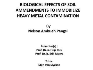 BIOLOGICAL EFFECTS OF SOIL
AMMENDMENTS TO IMMOBILIZE
HEAVY METAL CONTAMINATION
By
Nelson Ambueh Pangsi
Promoter(s) :
Prof. Dr. ir. Filip Tack
Prof. Dr. ir. Erik Meers
Tutor:
Stijn Van Slycken
 