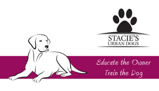 Educate the Owner
Train the Dog
 