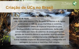 Criação de UCs no Brasil
Meta 11 de Aichi:
Até 2020, pelo menos 17% de áreas terrestres e de águas
continentais e 10% de áreas marinhas e costeiras,
especialmente áreas de especial importância para
biodiversidade e serviços ecossistêmicos, terão sido
conservados por meio de sistemas de áreas protegidas,
geridas de maneira efetiva e equitativa, ecologicamente
representativas e satisfatoriamente interligadas e por
outras medidas espaciais de conservação, e integradas em
paisagens terrestres e marinhas mais amplas.
 