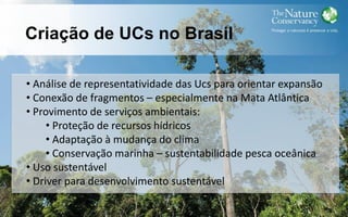 Criação de UCs no Brasil
• Análise de representatividade das Ucs para orientar expansão
• Conexão de fragmentos – especialmente na Mata Atlântica
• Provimento de serviços ambientais:
• Proteção de recursos hídricos
• Adaptação à mudança do clima
• Conservação marinha – sustentabilidade pesca oceânica
• Uso sustentável
• Driver para desenvolvimento sustentável
 