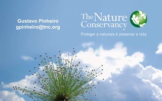 Gustavo Pinheiro
gpinheiro@tnc.org
 