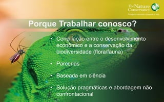Porque Trabalhar conosco?
• Conciliação entre o desenvolvimento
econômico e a conservação da
biodiversidade (flora/fauna)
• Parcerias
• Baseada em ciência
• Solução pragmáticas e abordagem não
confrontacional
 