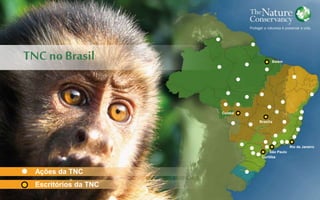 TNC no Brasil
Ações da TNC
Escritórios da TNC
Cuiabá
Brasília
Curitiba
São Paulo
Rio de Janeiro
Belém
 