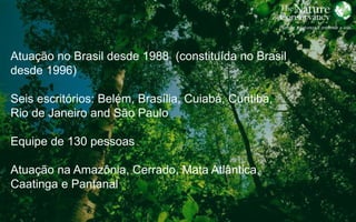 Obrigado!
Atuação no Brasil desde 1988 (constituída no Brasil
desde 1996)
Seis escritórios: Belém, Brasília, Cuiabá, Curitiba,
Rio de Janeiro and São Paulo
Equipe de 130 pessoas
Atuação na Amazônia, Cerrado, Mata Atlântica,
Caatinga e Pantanal
 
