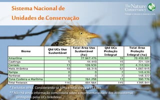 Sistema Nacionalde
Unidades de Conservação
* Excluídas APAs. Considerando-se APAs o total chega a 313 Ucs.
** Não há ainda informação consolidada sobre a representatividade dos ecossistemas
protegidos pelas UCs brasileiras
 
