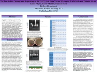 The Extraction, Cloning, and Sequencing of the GAPC gene from Thyme DNA using E. Coli cells as a Plasmid Vector
Lance Rhyne, Hailey Medder, Madison Rost
Biology Department
130 Natural Science Building, WCU
Cullowhee, NC 28723
Abstract
Introduction
Results Conclusion
Acknowledgements
References
The goal of this experiment was to extract and clone the
GAPC DNA segment from Thyme DNA and sequence this
segment to determine whether or not the experiment was
successful. Based on the Nested PCR gel electrophoresis,
Thyme was chosen as the DNA genome to be further tested for
cloning. The restriction digest gel showed that the E. Coli
plasmid did accept the GAPC insert and cloned the DNA
sequence multiple times. The first BLAST was completed to
clean the DNA sequence by trimming the ends of the
chromosomes and vectors as well as eliminate the primers. The
final BLAST ran on the contig of the sequenced DNA
removed discrepancies between the known and verified bases
of the chromosomes to improve the quality values. Overall,
this experiment was a success based on the results as the
GAPC gene was extracted and cloned from Thyme to the E.
Coli plasmid as the gene is present in the DNA results from the
sequenced products. Based on the E-value score of 0 and grade
of 97.7%, it is safe to assume that the sequence obtained from
the Thyme is nearly identical to the original GAPC sequence.
The GAPC sequence from the plant Thyme was cloned and sequenced as a
plasmid inserted into E. Coli cells using DNA extraction, PCR, gel
electrophoresis, and Sanger Sequencing. DNA extraction separates DNA
from cell components and cell contamination but every cell type has
different obstacles extraction must work around. Extracted DNA should be
purified after removed before PCR or other experiments occur to remove
any additional molecular contamination. Silica-based purification methods
were used to purify the extracted gDNA from the Thyme using beads with
different pore sizes to prevent breakage of the large molecules. PCR or
Polymerase Chain Reaction was then used to create multiple copies of the
specific section of DNA (2) through a repeated process of DNA
denaturation, elongation, and annealing utilizing heat and Taq Polymerase.
Nested PCR is a type of PCR, also utilized, that completes two rounds of
PCR with different primers to increase the specificity of the desired genes.
These PCR products were then used to form plasmids. Plasmids are
separate DNA segments that replicate independently, away from
chromosomal DNA (2) that act as agents for the transfer of genetic material.
In order to complete the plasmid transformation process, selection of the
transformed colonies (Fig. 2) and further purification of the DNA was
conducted. The transformation process required growing E. Coli cells that
could accept the transformed plasmid containing the pJET 1.2 plasmid
vector by pelleting, chilling, washing, and, finally, resuspension. (2) The
cells that contained and accepted the transformed plasmid survived and
grew on media plates which provided colonies of ideal E. Coli samples. To
ensure the plasmid’s acceptance and reproduction, gel electrophoresis was
run to allow the PCR products to be checked for additional DNA segments
or bands in the sequence. Finally, Sanger sequencing was used to determine
the plasmid sequence via chain termination of single stranded DNA
templates mixed with dideoxynucleotides to determine the sequence of the
segment. Overall, the purpose of this experiment was to sequence the
GAPC Segment of plant DNA from Thyme leaves and stems while
providing a better understanding of how DNA cloning and sequencing
functions. Final results for this experiment should show the sequence from
the bacteria plasmid that contain the Thyme GAPC sequence with high
quality base pairs which will be present in the BLAST sequence generated
via Geneious 8.1.9.
Based on the results, this experiment was a success as the GAPC gene
was extracted from the Thyme plant, cloned, and inserted into the E. Coli host
cells. When looking over the Nested PCR electrophoresis gel, one can easily
identify the smudged band. The misshapen band was due to the well either being
pierced while pipetting the sample into the well or the well was made
extraordinarily thin. As always, possible contamination of the sample could have
occurred as well from surrounding particles or improperly cleaned equipment.
The culture samples that grew also proved that the plasmid was correctly
transferred into the E. Coli cells because the inserted plasmid sequence enabled
the cells to live in the conditions made by the plates. The plates contain
ampicillin that normally kills E. Coli cells; so, only cells that up took the plasmid
would survive as these cells would have an ampicillin resistant gene in their
genome form the plasmid they accepted. The plasmid also disrupted the eco471R
gene in the E. Coli that normally acts as a toxin to the cell also allowing the cell
to grow and multiply with the plasmid influence. The restriction digest
electrophoresis gel indicated that the primer added to the plasmid insert sequence
was present via the presence of only two bands. The two bands present meant
that the primers worked efficiently due to them only being able to cut at specific
nucleotide bases along the plasmid insert sequence. The BgI II site may also
cause a band to occur if the restriction digest runs incorrectly but as there are
only two bands on this gel, the restriction digest of the E. Coli cells and plasmids
ran properly and proved that the insert and plasmid were successfully inserted
into the bacteria cells.
Table 1 shows the top three hits for the pJET SEQ F, pJET SEQ R,
GAP SEQ F, and GAP SEQ R primer coverage of the GAPC gene. These genes
have been cleaned and trimmed so all that remains is high quality base pairs for
later modification. Based on the very first top hit for each primer the gene
samples are of high quality and all contain similar sequences from the
Arabidopsis thaliana chromosome 3 sequence. All of the E-values for the
Arabidopsis thaliana chromosome 3 sequence are zero and all the pairwise
identity percent's are above 97% meaning that the suspected GAPC gene in these
sequences is close to being identical to the literature value of GAPC. Table 2
shows the top five hits for the second BLAST run on the combined gene
sequence contig. This sequence was further modified by fixing any discrepancies'
between base pairs to ensure the highest quality available was achieved. Based
on the top hit Arabidopsis thaliana chromosome 3 sequence which actually
contains a GAPC sequence.
Figure 1. Nested PCR
The negative control generated no band and the pGAP plasmid
did generate a band indicating the successful preparation and
lack of contamination in these samples. The gDNA formed a
long column of dye suggesting there was an error in
preparation of this sample. Based on this gel, the Thyme was
chosen for further experimentation with cloning and
sequencing. Estimated band lengths: Thyme-1,000 bp,
Maleberry-1,000 bp, gDNA-unidentifiable bp, pGAp-1,000 bp,
and Sterile Water- 0 bp.
Figure 2. E. Coli Cultures
Both plates contain E. Coli cells that received the pJET 1.2 plasmid. Each plate
did have bacterial growth meaning the plasmid was accepted by the cells.
Figure 3. Restriction Digest
This gel provides evidence that the pJET 1.2 plasmid and insert were
accepted by the E. Coli cells, I,e, successfully transformed E. Coli cells.
There are only two bands present on this gel, one for the plasmid at 3,000
bp and one for the insert at 1,000 bp meaning that there was no
contamination on the gel from the BgI II digest or other molecules.
1. Alberts, Bray, Hopkin, Johnson, Lewis, Raff, Roberts,
Walter (2014) DNA Cloning by PCR, Manipulating and
Analyzing DNA Molecules, Essential Cell Biology Ed. 4,
2014, pgs. 327-330, 335-338. Garland Science, Taylor &
Francis Group, LLC, New York, New York.
2. Western Carolina University (2016) Cloning and
Sequencing. Cellular and Molecular Biology 333 Lab
Manual. 2016, Week 1-5 manuals, pgs. 1-10.
We would like to thank Western Carolina University and
Instructor Beyer for providing the materials, instruction, and
opportunity to complete this cell cloning experiment. As well
as to all our prior biology and chemistry professors for
providing us with the necessary knowledge to understand and
grow as a scientist from this experience.
Primer Description E-Value Bit-Score % Pairwise Identity Query Coverage Grade
pJET SEQ F Arabidopsis thaliana
chromosome 3 sequence
0 1,716.29 99.1% 20-993 98.6%
Arabidopsis lyrata subsp. lyrata
unplaced genomic scaffold
ARALYscaffold_3, whole
genome shotgun sequence 0 1337.26 91.7% 20-993 94.9%
Camelina sativa cultivar DH55
chromosome 19 genomic
scaffold, Cs Chr19, whole
genome shotgun sequence 0 1130.2 86.6% 22-993 92.2%
pJET SEQ R Arabidopsis thaliana
chromosome 3 sequence
0 1,757.77 99.3% 13-1005 97.7%
Camelina sativa cultivar DH55
chromosome 19 genomic
scaffold, Cs Chr19, whole
genome shotgun sequence 0 1162.66 86.8% 13-1003 91.4%
Capsella rubella cultivar Monte
Gargano unplaced genomic
scaffold scaffold_3, whole
genome shotgun sequence 0 1129.59 85.6% 13-1003 90.8%
GAP SEQ F Arabidopsis thaliana
chromosome 3 sequence
0 924.611 99.1% 6-530 99.1%
Arabidopsis lyrata subsp. lyrata
unplaced genomic scaffold
ARALYscaffold_3, whole
genome shotgun sequence 0 744.274 91.8% 6-530 95.4%
Camelina sativa cultivar DH55
chromosome 19 genomic
scaffold, Cs Chr19, whole
genome shotgun sequence 1.78e-176 632.465 88.2% 24-259 91.8%
GAP SEQ R Arabidopsis thaliana
chromosome 3 sequence
0 1045.44 99.3% 1-589 99.7%
Arabidopsis lyrata subsp. lyrata
unplaced genomic scaffold
ARALYscaffold_3, whole
genome shotgun sequence 0 787.555 90.1% 1-589 95.1%
Camelina sativa cultivar DH55
chromosome 19 genomic
scaffold, Cs Chr19, whole
genome shotgun sequence 5.36e-171 614.432 84.2% 1-589 92.1%
Table 1. BLAST Results, Run #1
These results are from the cleaned and trimmed chromosomes obtained from the E. Coli
cells that took up the plasmid. The vectors and chromosomes ends were automatically
trimmed by the Geneious 8.1.9 program and the primers removed. The E-values being close
to zero and the percentages being near 100% indicate that these chromosomes are nearly
identical to the actual GAPC gene and of high quality.
Description E-Value Bit-Score % Pairwise Identity Query Coverage Grade
Arabidopsis thaliana
chromosome 3 sequence 0 1757.77 99.3% 30-1022 97.7%
Arabidopsis lyrata subsp.
lyrata unplaced genomic
scaffold ARALYscaffold_3,
whole genome shotgun
sequence
0 1413.32 91.9% 30-1022 94.0%
Camelina sativa cultivar
DH55 chromosome 19
genomic scaffold, Cs
Chr19, whole genome
shotgun sequence
0 1162.66 86.8% 32-1022 91.3%
Capsella rubella cultivar
Monte Gargano unplaced
genomic scaffold
scaffold_3, whole genome
shotgun sequence
0 1126.59 85.6% 32-1022 90.7%
Camelina sativa cultivar
DH55 chromosome 1
genomic scaffold, Cs Chr1,
whole genome shotgun
sequence
0 1106.75 85.0% 32-1022 90.4%
Tabel 2. BLAST Results from Contig 2nd Run
These results show that the genome sequences are closely related to the GAPC gene
sequence found in the Arabidopsis thaliana; however they are not identical. Also, as the E-
value is zero, the grade high at 97.7%, and the pairwise identity high at 99.3%, the
sequenced gene is nearly identical to the literature value of the GAPC gene. The four
sequences listed below Arabidopsis thaliana are the other top hits for this BLAST results
with low E-values and high grade and pairwise identities meaning these genes are also very
similar to the genes sequenced in this genome other than the GAPC.
Sterile Water (Negative Control)
pGAP
gDNA
Maleberry
Thyme
5,000
4,500
3,500
3,000
2,500
2,000
1,500
1,000
500
Transformed E.
Coli cells
5,000
1,000
1,500
2,000
2,500
3,500
500
E. Coli post-transformation
Figure 4. Contig
The final contig sequence for the transformed plasmids focusing on the
GAPC1 gene sequence found within this specific DNA segment.
 