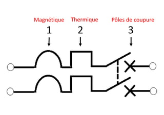 1 2 3
Magnétique Thermique Pôles de coupure
 
