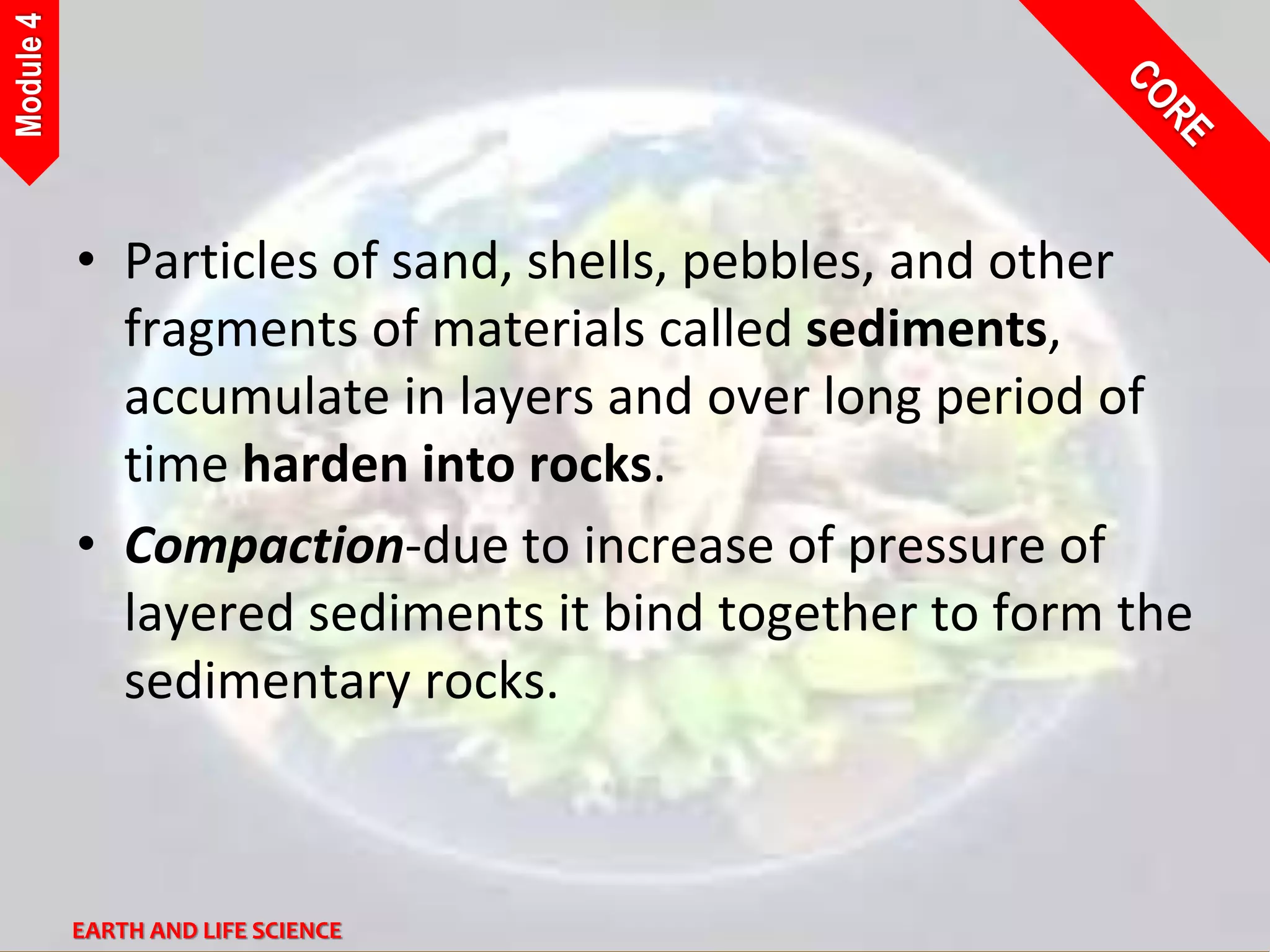 4_Earth_and_Life_Science.pptx