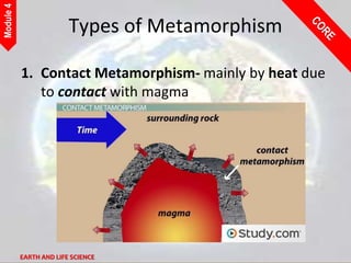 EARTH AND LIFE SCIENCE
Module
4
Types of Metamorphism
1. Contact Metamorphism- mainly by heat due
to contact with magma
 