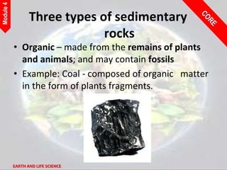 4_Earth_and_Life_Science.pptx