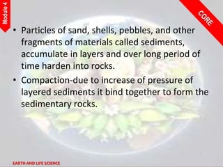 4_Earth_and_Life_Science.pptx