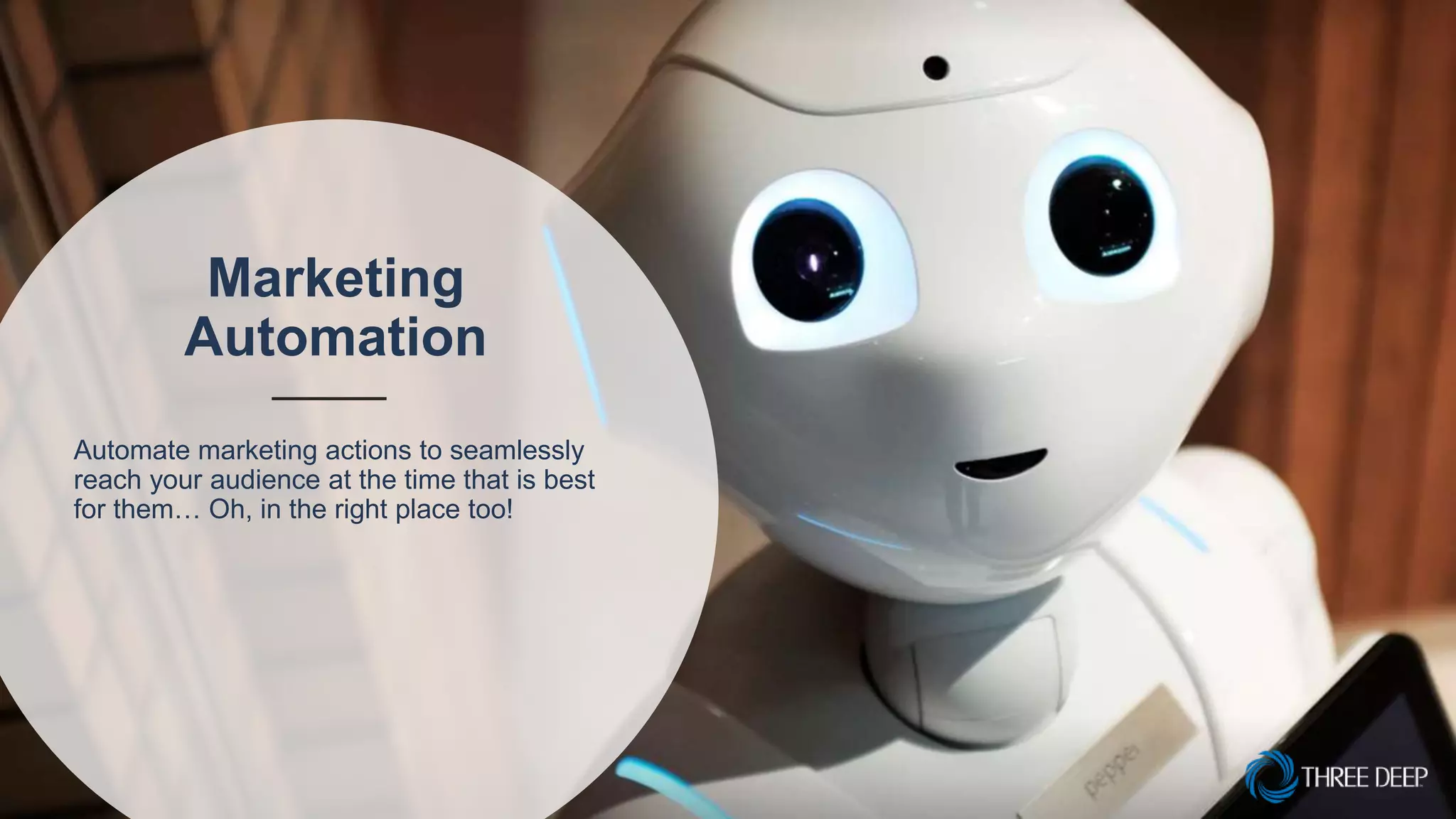Marketing
Automation
Automate marketing actions to seamlessly
reach your audience at the time that is best
for them… Oh, in the right place too!
 