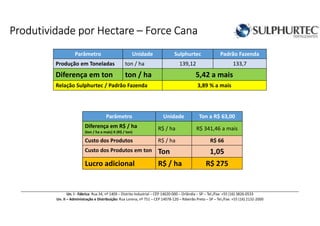 Produtividade por HectareProdutividade por HectareProdutividade por HectareProdutividade por Hectare –––– Force CanaForce CanaForce CanaForce Cana
Parâmetro Unidade Sulphurtec Padrão Fazenda
Produção em Toneladas ton / ha 139,12 133,7
Diferença em ton ton / ha 5,42 a mais
Relação Sulphurtec / Padrão Fazenda 3,89 % a mais
Parâmetro Unidade Ton a R$ 63,00
Diferença em R$ / ha
(ton / ha a mais) X (R$ / ton)
R$ / ha R$ 341,46 a mais
Custo dos Produtos R$ / ha R$ 66
Custo dos Produtos em ton Ton 1,05
Lucro adicional R$ / ha R$ 275
Un. I - Fábrica: Rua 34, nº 1409 – Distrito Industrial – CEP 14620-000 – Orlândia – SP – Tel./Fax: +55 (16) 3826-0533
Un. II – Administração e Distribuição: Rua Lorena, nº 751 – CEP 14078-120 – Ribeirão Preto – SP – Tel./Fax: +55 (16) 2132-2000
 