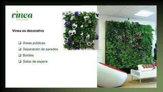 Vinea es decorativo
 Áreas públicas
 Separación de paredes
 Bordes
 Salas de espera
 