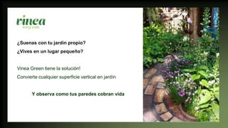 ¿Suenas con tu jardín propio?
¿Vives en un lugar pequeño?
Vinea Green tiene la solución!
Convierte cualquier superficie vertical en jardín
Y observa como tus paredes cobran vida
 