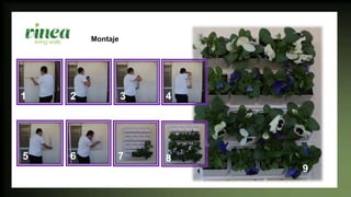 Montaje
1 2 3 4
5 6 7 8
9
 