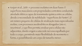 Keijzer et al., 2013 -> processo evolutivo em duas fases: 1)
superfícies musculares com propriedades contráteis conduzindo
atividade elétrica capaz de transmissão química entre as células,
devido à necessidade de mobilidade: “superfícies de Pantin”; 2)
um número pequeno de células de sinalização mais especializadas
evoluiu, com processos axodendríticos alongados (isto é,
neurônios), o que lhes permitiu sinalizar para células não
adjacentes, dando origem a uma rede nervosa espalhada por
todo o corpo, permitindo maior flexibilidade de movimento e
forma, e possibilitando um corpo de tamanho menor.
 