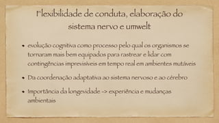 Flexibilidade de conduta, elaboração do
sistema nervo e umwelt
evolução cognitiva como processo pelo qual os organismos se
tornaram mais bem equipados para rastrear e lidar com
contingências imprevisíveis em tempo real em ambientes mutáveis
Da coordenação adaptativa ao sistema nervoso e ao cérebro
Importância da longevidade -> experiência e mudanças
ambientais
 
