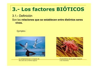 3.- Los factores BIÓTICOS
3.1.- Definición
Son las relaciones que se establecen entre distintos seres
  vivos.


   Ejemplos:




     La competencia por el espacio de   El parasitismo de los piojos respecto
     dos aves de la misma especie       a los humanos
 