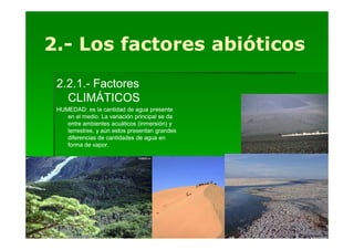 2.- Los factores abióticos
 2.2.1.-
 2.2.1.- Factores
   CLIMÁTICOS
 HUMEDAD: es la cantidad de agua presente
    en el medio. La variación principal se da
    entre ambientes acuáticos (inmersión) y
    terrestres, y aún estos presentan grandes
    diferencias de cantidades de agua en
    forma de vapor.
 