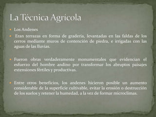  Los Andenes
 Eran terrazas en forma de gradería, levantadas en las faldas de los
cerros mediante muros de contención de piedra, e irrigadas con las
aguas de las lluvias.
 Fueron obras verdaderamente monumentales que evidencian el
esfuerzo del hombre andino por transformar los abruptos paisajes
extensiones fértiles y productivas.
 Entre otros beneficios, los andenes hicieron posible un aumento
considerable de la superficie cultivable, evitar la erosión o destrucción
de los suelos y retener la humedad, a la vez de formar microclimas.
 