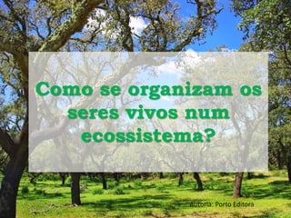 Como se organizam os 
seres vivos num 
ecossistema? 
Autoria: Porto Editora 
 
