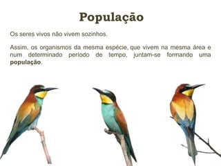 População 
Os seres vivos não vivem sozinhos. 
Assim, os organismos da mesma espécie, que vivem na mesma área e 
num determinado período de tempo, juntam-se formando uma 
população. 
 