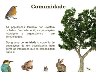 Comunidade 
As populações também não existem 
isoladas. Em cada local, as populações 
interagem e organizam-se em 
comunidades. 
Designa-se comunidade o conjunto de 
populações de um ecossistema, bem 
como as interações que se estabelecem 
entre si. 
 