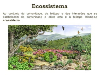 Ecossistema 
Ao conjunto da comunidade, do biótopo e das interações que se 
estabelecem na comunidade e entre esta e o biótopo chama-se 
ecossistema. 
 