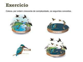 Exercício 
Coloca, por ordem crescente de complexidade, os seguintes conceitos. 
 