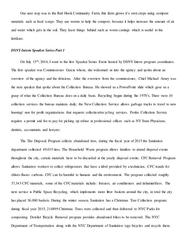 internship reflection paper essay