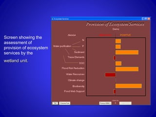 Screen showing the
assessment of
provision of ecosystem
services by the
wetland unit.
 