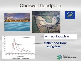 Cherwell floodplain
1998 flood flow
at Oxford
with no floodplain
 