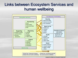 Links between Ecosystem Services and
human wellbeing
Supporting
nutrient cycling
soil formation
primary
production
Provisioning
food
fresh water
wood and fibre
fuel
Regulating
climate
floods
disease
clean water
Cultural
Aesthetic
spiritual
education
recreation
Security
personal safety
resource access
from disasters
Freedom of choice
and action
satisfaction and
opportunity for
achievement
Basic for life
livelihoods
nutrition
shelter
goods
Health
strength
feeling well
clean air
clean water
Social
social cohesion
mutual respect
ability to help
others
Ecosystem services
Constituents of well-being
Biodiversity
Thicker line = Intensity of linkage
between ES and human well-being
Darker line = Increasing potential
for socio-economic mediation
Adapted from Millennium Ecosystem Assessment
 