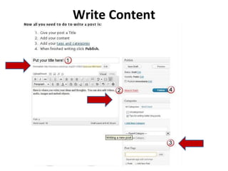 Write Content