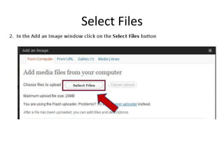 Select Files