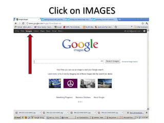 Click on IMAGES 
