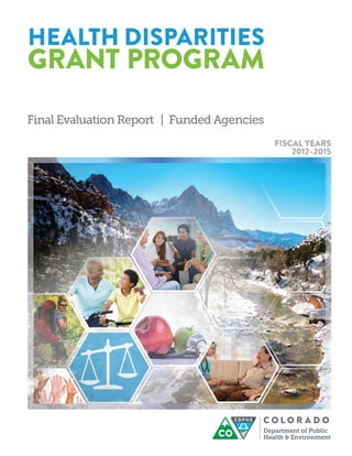 HEALTH DISPARITIES
GRANT PROGRAM
Final Evaluation Report | Funded Agencies
FISCAL YEARS
2012–2015
 