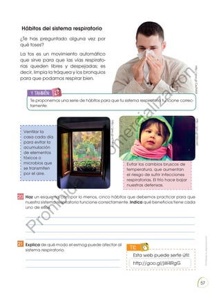 Prohibidasureproducción
57
¿Te has preguntado alguna vez por
qué toses?
La tos es un movimiento automático
que sirve para que las vías respirato-
rias queden libres y despejadas; es
decir, limpia la tráquea y los bron­quios
para que podamos respirar bien.
Evitar los cambios bruscos de
temperatu­ra, que aumentan
el riesgo de sufrir infec­ciones
respiratorias. El frío hace bajar
nuestras defensas.
Hábitos del sistema respiratorio
	Haz un esquema con, por lo menos, cinco hábitos que debemos practicar para que
nuestro sistema respiratorio funcione correctamente. Indica qué beneficios tiene cada
uno de ellos.
	 _________________________________________________________________________________________________
	 _________________________________________________________________________________________________
	 _________________________________________________________________________________________________
	 _________________________________________________________________________________________________
	Explica de qué modo el esmog puede afectar al
sistema respiratorio.
	 ______________________________________________________
	 ______________________________________________________
http://goo.gl/Ce29AM
http://goo.gl/d7NkGY
http://goo.gl/GeVvx0
TIC
ENGR
UPO
YTAMB
IÉN
TIC
S
RECORTA
BLES
Esta web puede serte útil:
http://goo.gl/jW4RgG
Ventilar la
casa cada día
para evi­tar la
acumulación
de elementos
tóxi­cos o
microbios que
se transmiten
por el aire.
y también:
Te proponemos una serie de hábitos para que tu sistema respiratorio funcione correc-
tamente:
20
21
ENGR
UPO
YTAMB
IÉN
TIC
S
RECORTA
BLES
CALCULA
DORA
Prohibida
su
com
ercialización
 