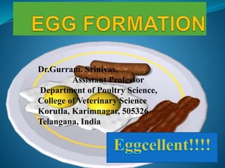 Eggcellent!!!!
Dr.Gurram. Srinivas,
Assistant Professor
Department of Poultry Science,
College of Veterinary Science
Korutla, Karimnagar, 505326
Telangana, India
 