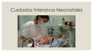 Cuidados Intensivos Neonatales
 