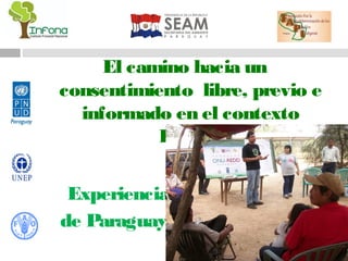 El camino hacia un
consentimiento libre, previo e
  informado en el contexto
           REDD+

 Experiencia
de Paraguay
 