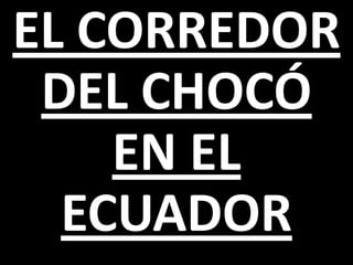 EL CORREDOR
 DEL CHOCÓ
    EN EL
  ECUADOR
 
