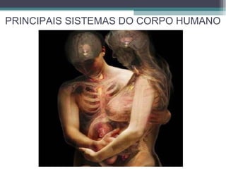 PRINCIPAIS SISTEMAS DO CORPO HUMANO
 