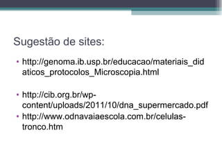 Sugestão de sites:
• http://genoma.ib.usp.br/educacao/materiais_did
aticos_protocolos_Microscopia.html
• http://cib.org.br/wp-
content/uploads/2011/10/dna_supermercado.pdf
• http://www.odnavaiaescola.com.br/celulas-
tronco.htm
 