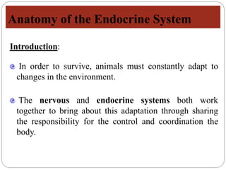 Anatomy of the Endocrine System
Introduction:
In order to survive, animals must constantly adapt to
changes in the environment.
The nervous and endocrine systems both work
together to bring about this adaptation through sharing
the responsibility for the control and coordination the
body.
 