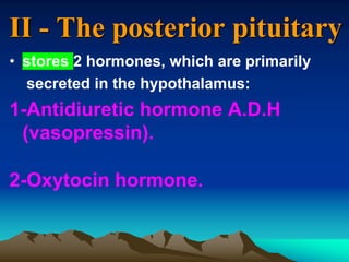 II - The posterior pituitary
• stores 2 hormones, which are primarily
secreted in the hypothalamus:
1-Antidiuretic hormone A.D.H
(vasopressin).
2-Oxytocin hormone.
 